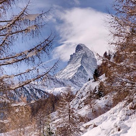 Chalet Zen Zermatt, 100M From Ski Lift And Piste Zewnętrze zdjęcie